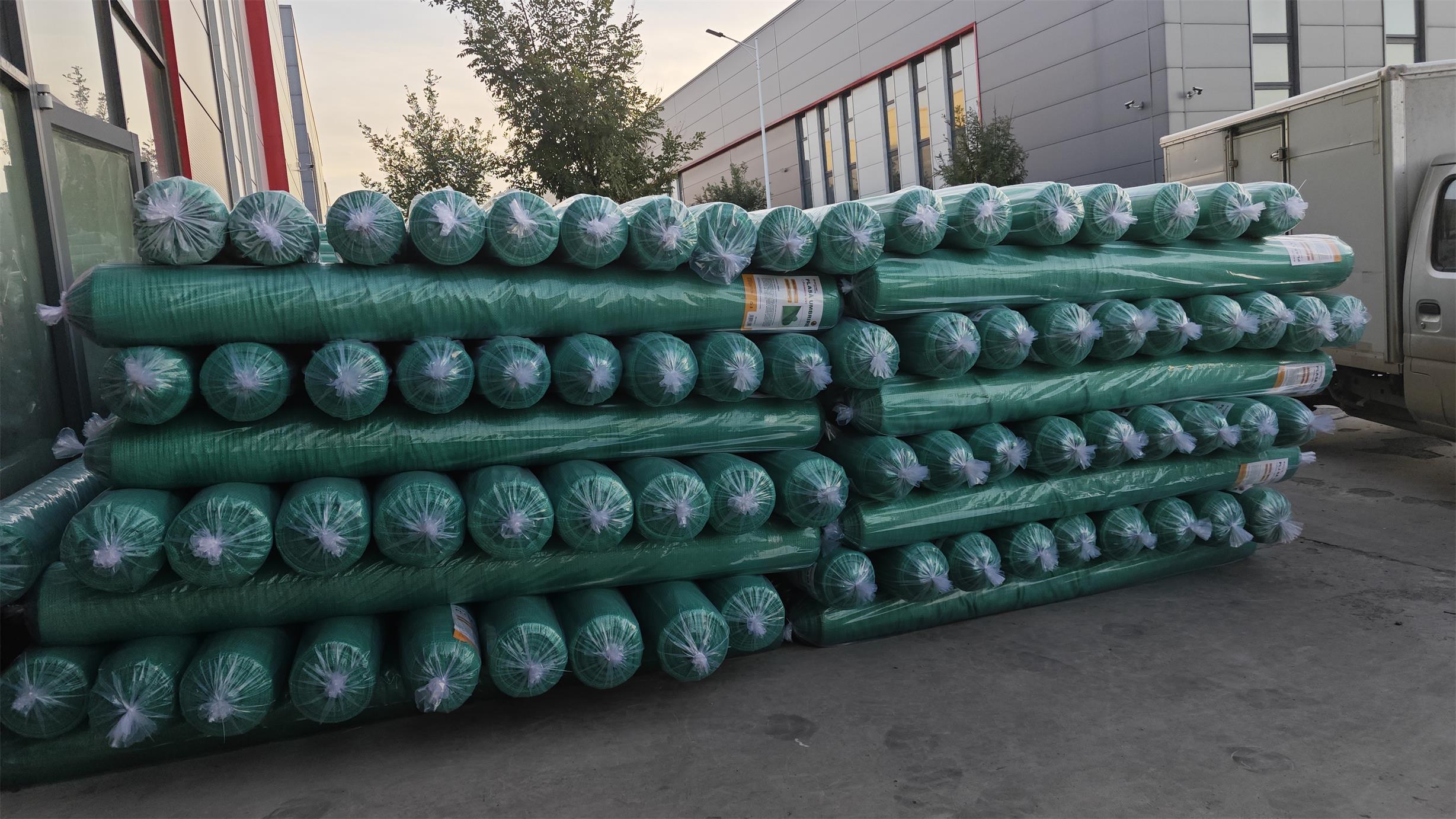 1734836557034 1734836557034