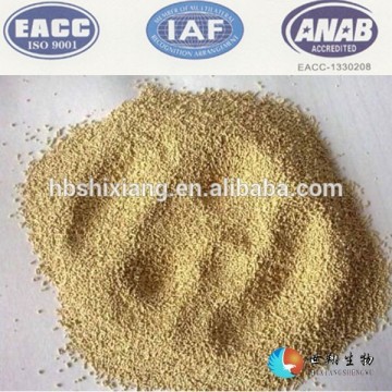 Nutritional feed grade yeast powder