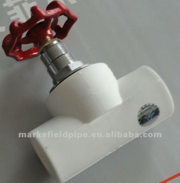 High quality ppr pipe fitting/Check valve