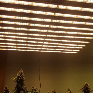 4 Tier Using Grow Light For Indoor Plants