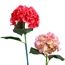 Outdoor Landscape Hydrangea Lights