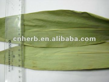 Natural air dried Bamboo leaf/Ruo ye