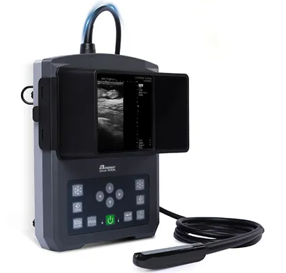 Veterinary Ultrasound Scanning Machine Bw590V