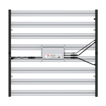 Foldable 640w Led Grow Light for Indoor Garden