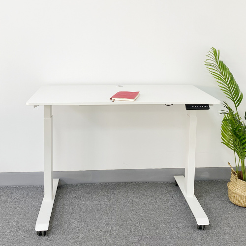 Ergonomic Dual Motor Adjustable Height Desk