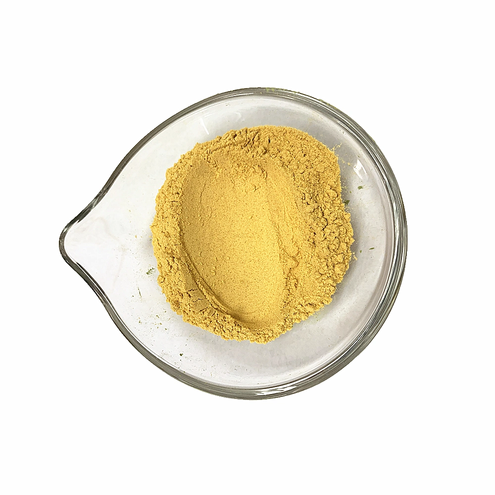 Top Quality 100% Natural Pumpkin Powder for Free Sample