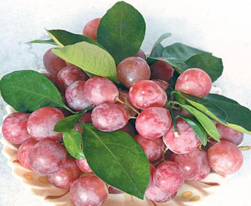 Yunnan red grape ready to export