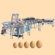 Fully Automatic Egg Washing Machine with Multi-Function Features: Washing, Drying, Sterilization, Inspection, and Grading