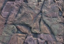 aquarium decorative background,terrarium background