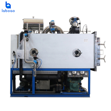 LABOAO: Unbeatable Prices on High-Performance Industrial Freeze Dryers