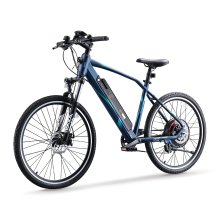 36V E-Bicycle Electric Mountain Bike MTB E-Bike with Removable Battery