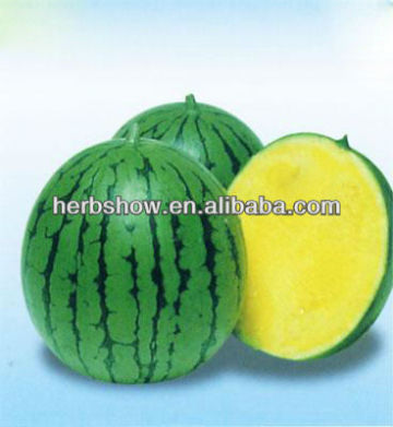 Hybird Yellow Watermelon Seeds For Growing