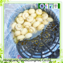 White Mushroom Agaricus In Conserve In Drum