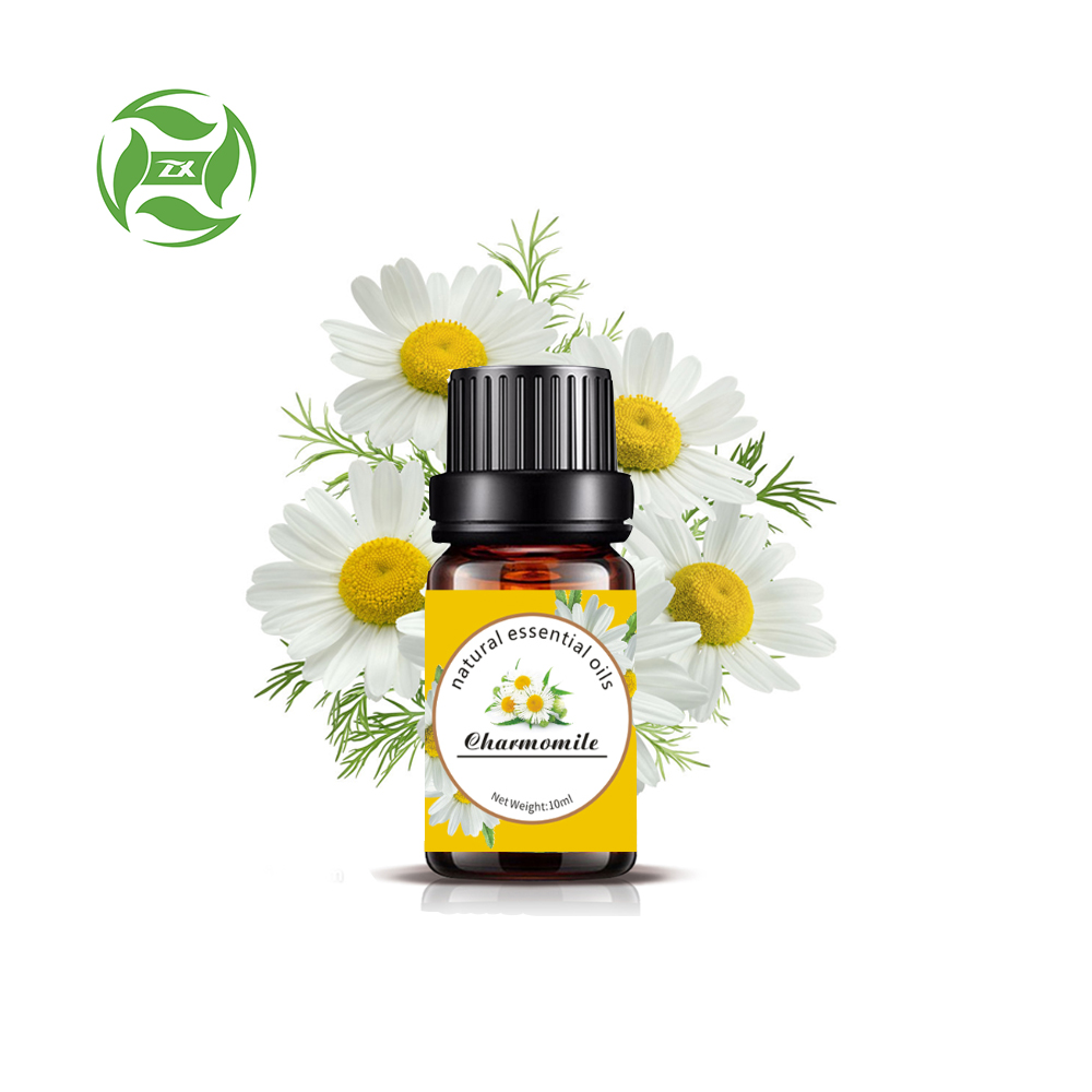 Pasokan Pabrik 100% Harga Minyak Chamomile Murni