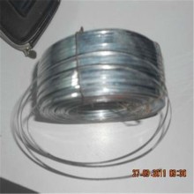 in coil galvanized flat wire/flat brass wire/flat stitching wire
