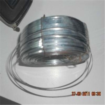 in coil galvanized flat wire/flat brass wire/flat stitching wire