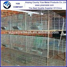 rabbit breeding for rabbit cage mesh