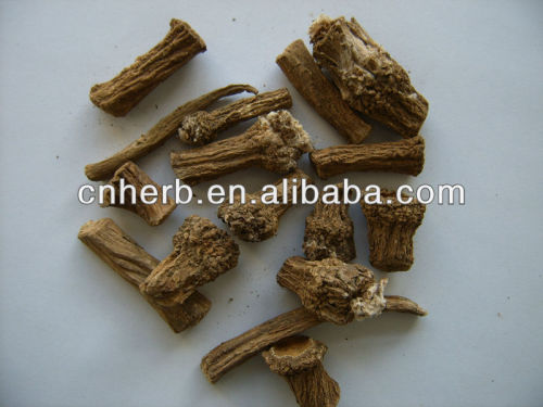 dried and natural burdock root whole and cut