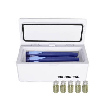 Portable Small Medicine Storage Box: Travel-Friendly Refrigerator Box