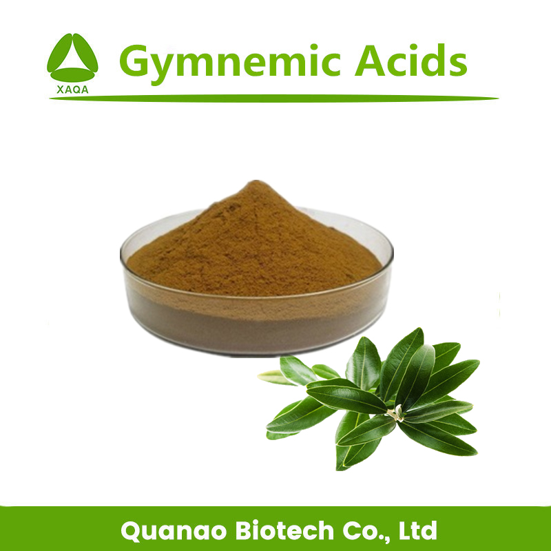 Gymnema Sylvestre Extract Gymnememicsäuren Pulver 75%