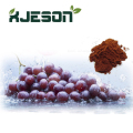 Polvo de extracto de semilla de uva