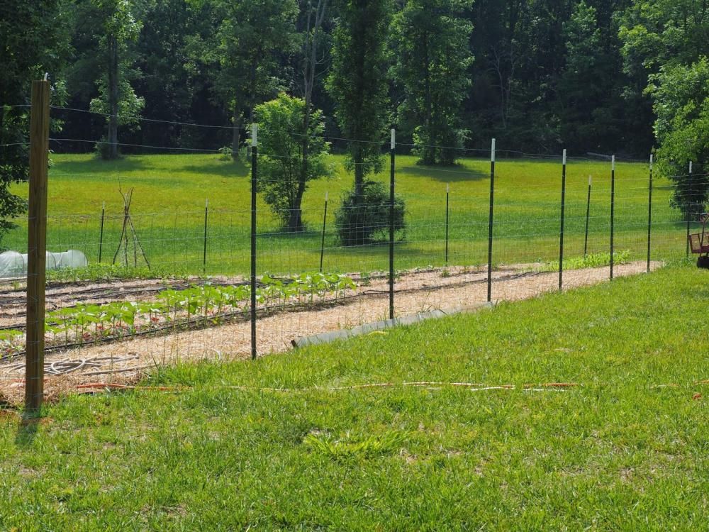 galvanized metal studded T post for farm fence