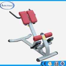 Pass CE Rome Chair Fitness Body Building Back Extension