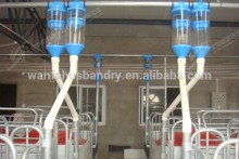 High quality automatic pig piggy feed trough