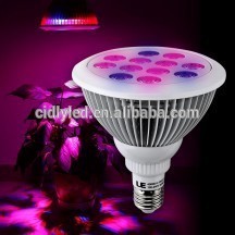 Cheapest led grow bulb used grow tent, Par 38 led grow light, cidly led grow lights