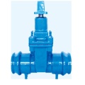 Cast Iron Gate Valve