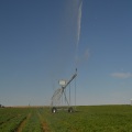 Amerika-Standard-Bewässerungssystem