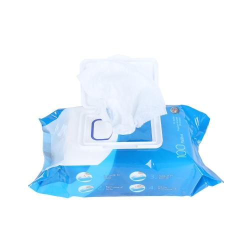 Antibacterial Alcohol Free Travel Baby Wet Wipes