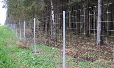 Horse Field Fence