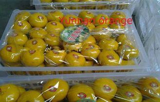 Yunnan Nutritional Value Fresh Mandarin Oranges Vitamins B3