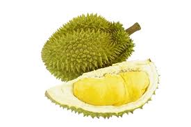 Durian 