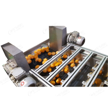 Leadworld Fruit Peeler Machine - Orange Peeler Machine