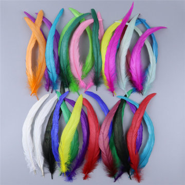 25-30cm Bleached and Dyed Rooster Tail Feathers: Ideal for Carnival Party, Festival Costumes, Decorations, and Crafting