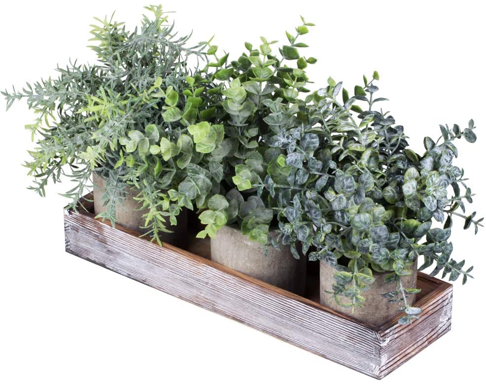 Ensemble de 3 mini plants d&#39;eucalyptus artificiels en pot