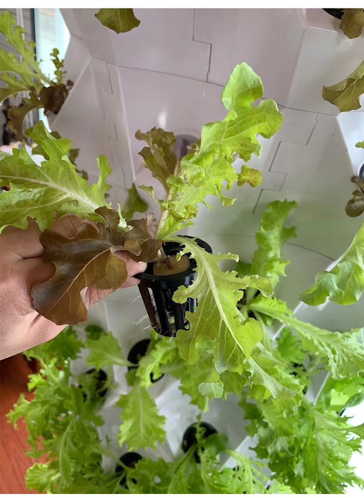 Vertical Tower Growing Systems column hydroponic