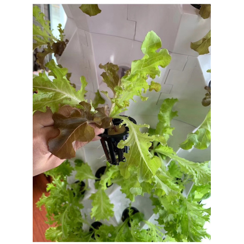 Vertical Tower Growing Systems column hydroponic