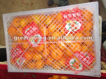 jiangxi nanfeng baby mandarin orange (taste delicious)