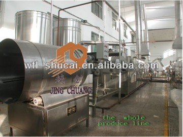 Potato Chips Production Line/Potato Chips Line