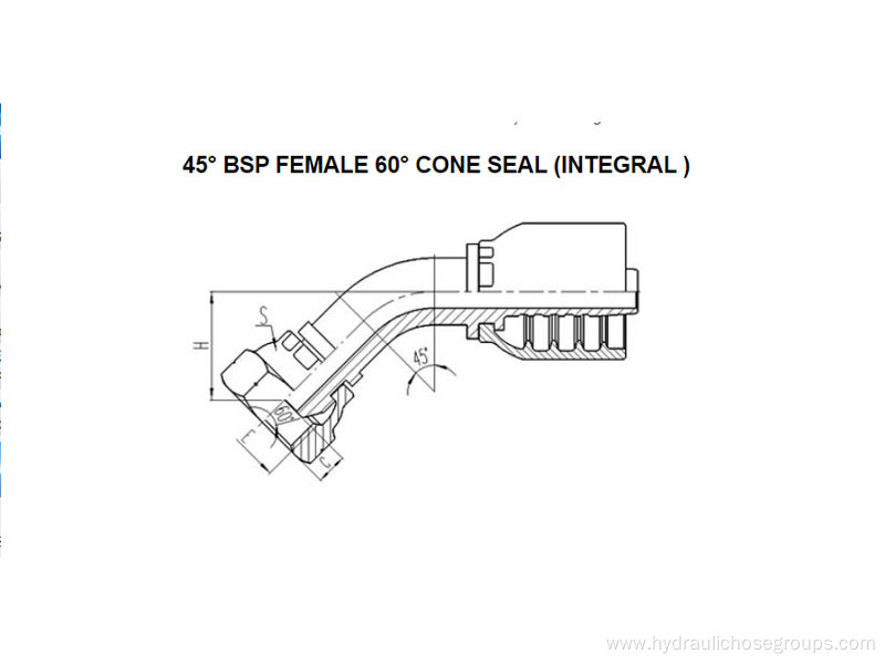 Integral 45° BSP Female 60° Cone 22641-F