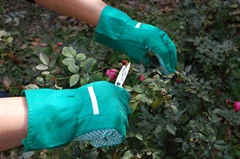 Cotton Canvas PVC Dotted on Palm Working Protection Garden Gloves