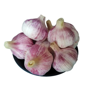 Jinxiang Garlic Fresh Garlic