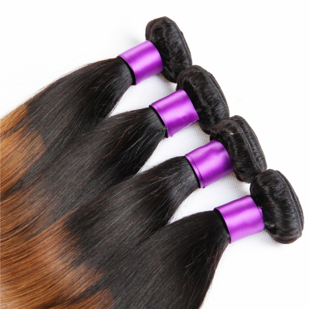 Ombre Brazilian Straight Hair Ombre Bundles With Closure, 3 Ombre Hair Bundles With Lace Closure T1b/4/27