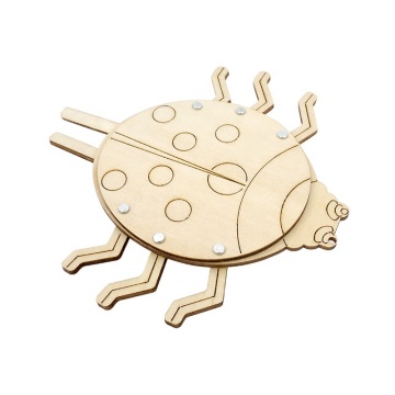 DIY Stem Assembly: Mini Wooden Ladybug Craft Puzzle for Science Physics Education