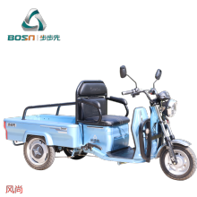 2021 Three Wheels Cargo Electric Tricycle