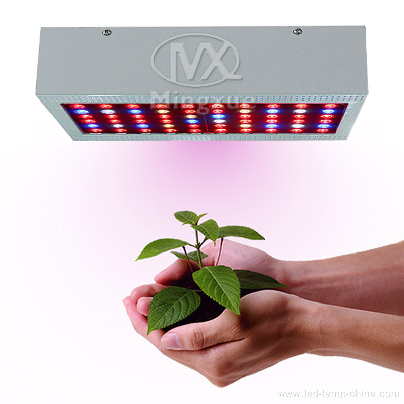 Full Spectrum 300w LED Grow Light