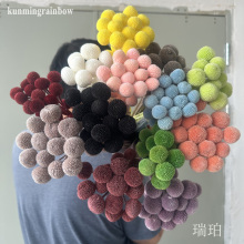 Natural Preserved Globosa Golden Ball Craspedia Globosa Billy Balls Flowers